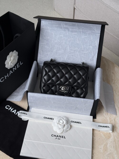 IMG 4334